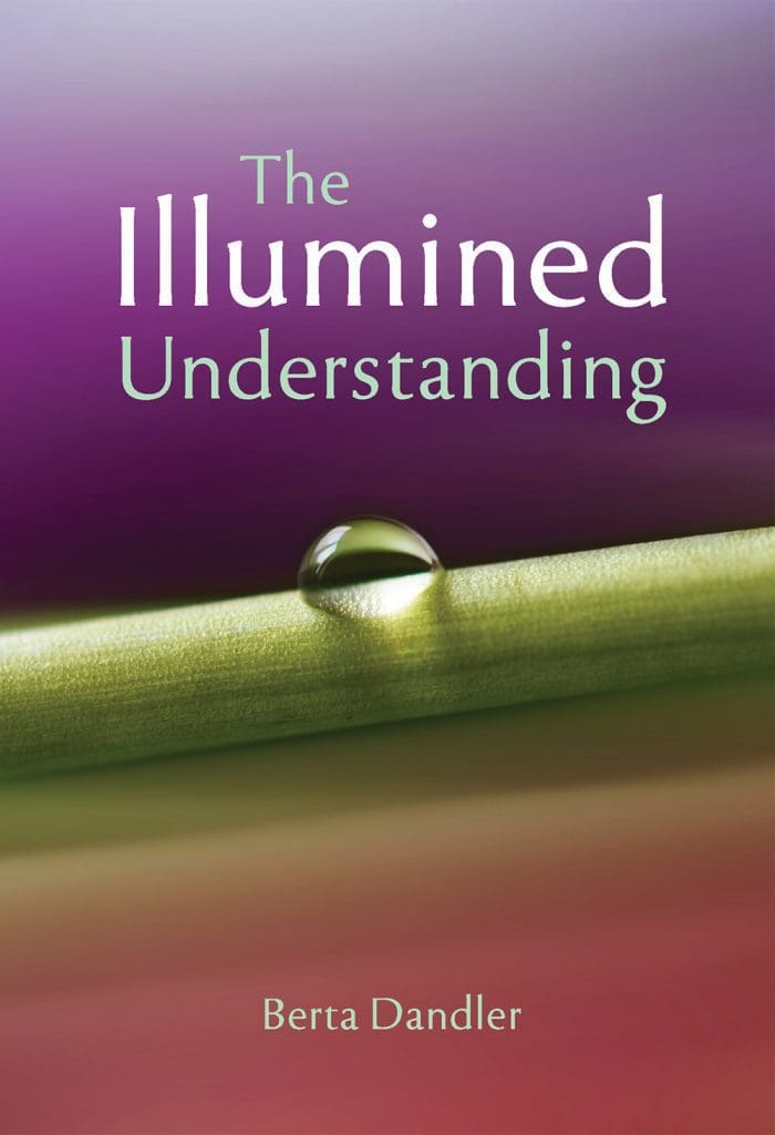 Cover of the Illumined Understanding