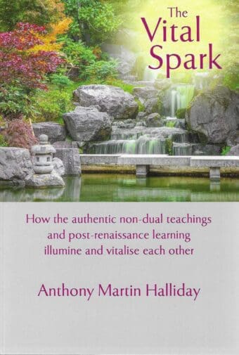 The Vital Spark Book Cover