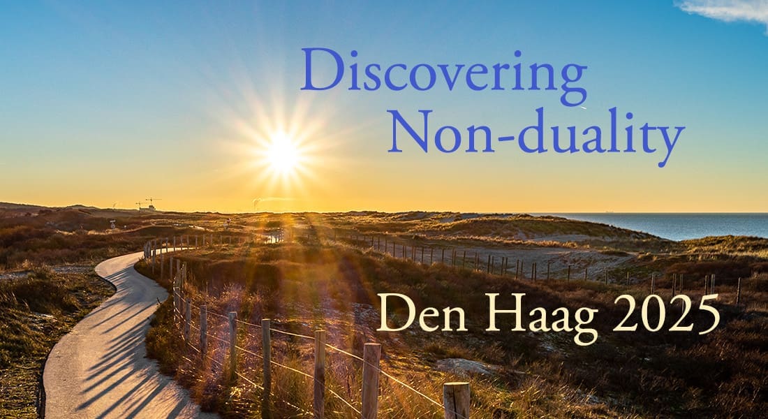discovering denhaag dunes discovering denhaag dunes